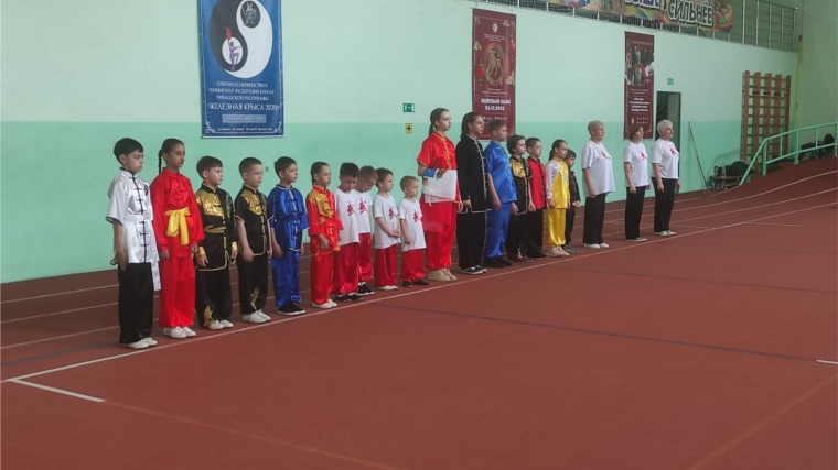 27 мая, в рамках Дня здоровья, состоялся Фестиваль боевых искусств в г. Чебоксары